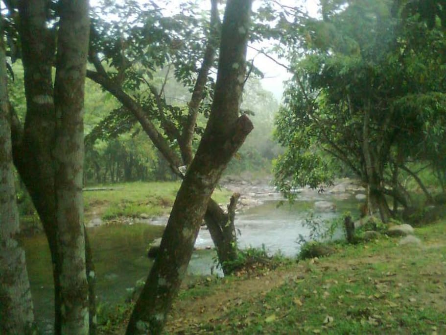 área de natureza exuberante.