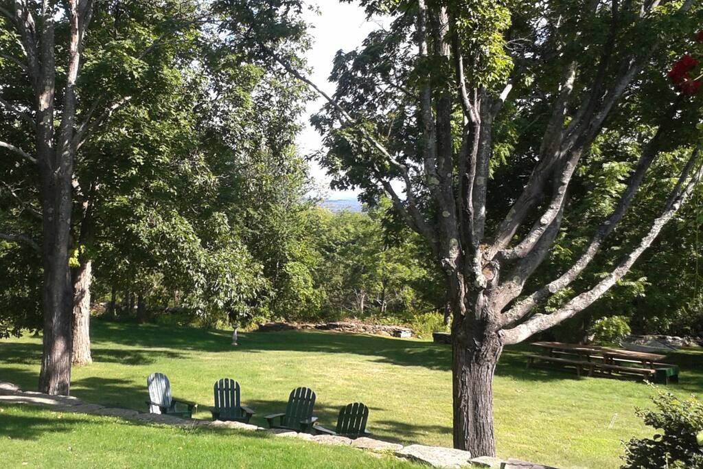 Side garden