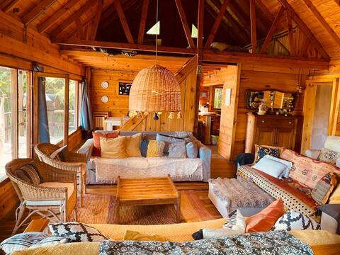 Cabin in delta 8