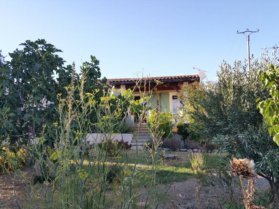 jardin méditéranéen
