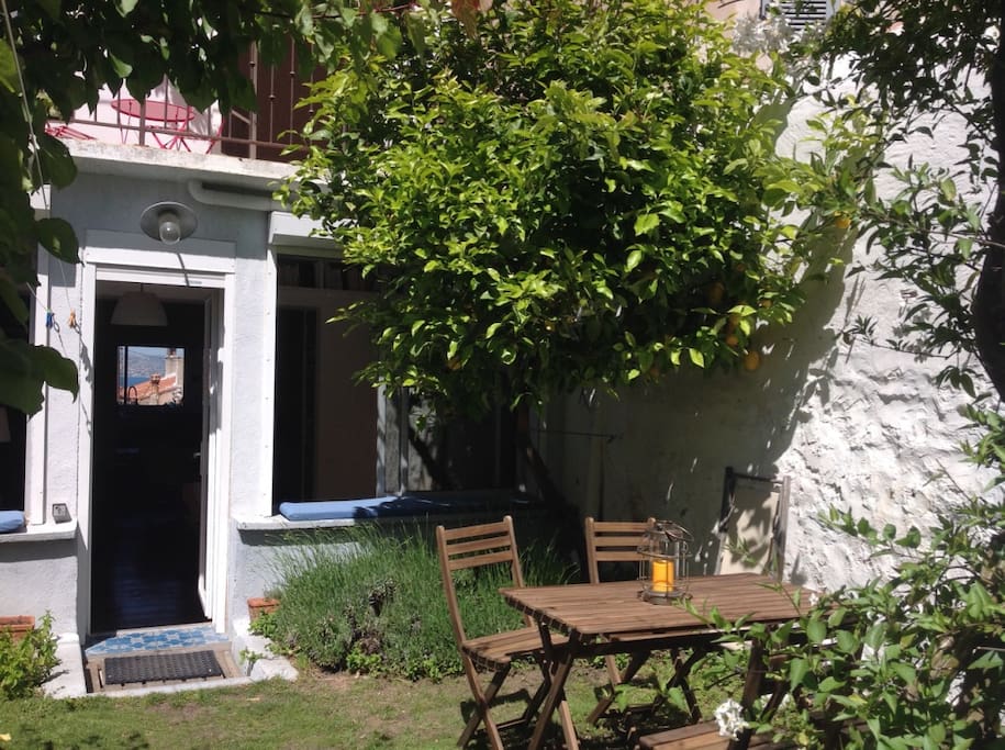 Le jardin et son citronnier (barbecue Weber à votre disposition)