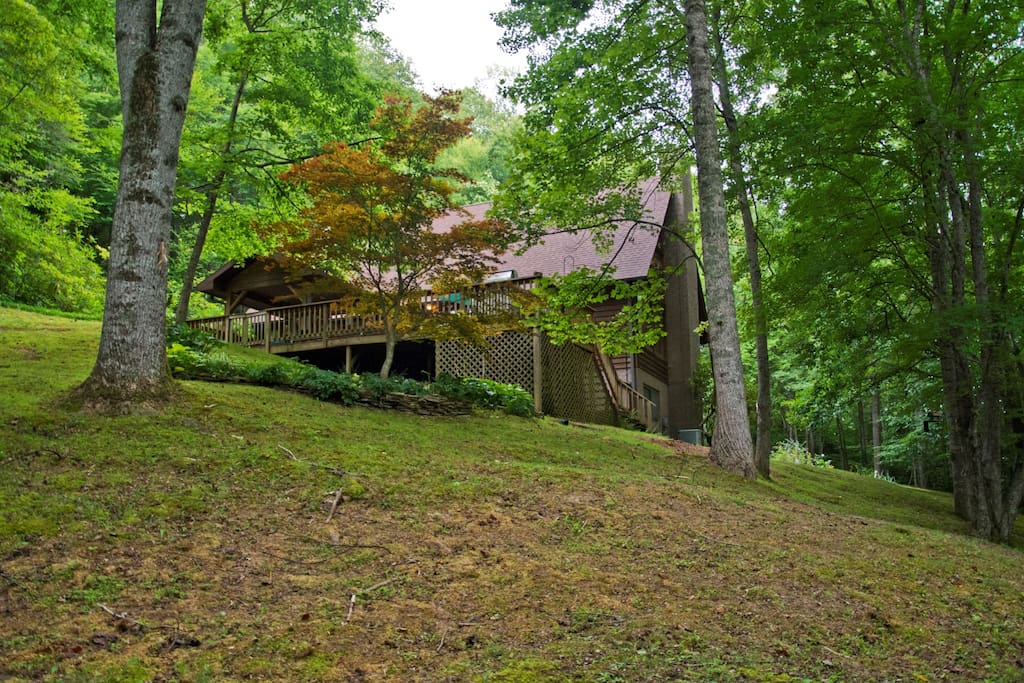 Side view