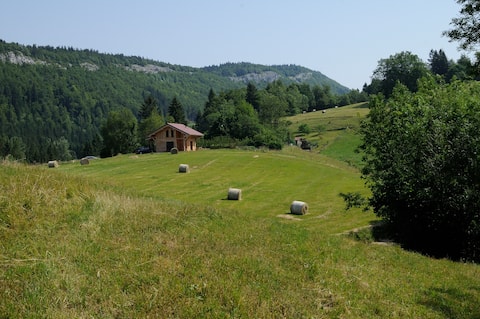 Family chalet in the heart of nature, in the heart of the Jura