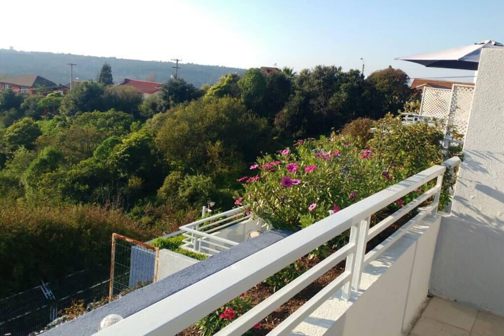 Vista desde Terraza hacia Norte