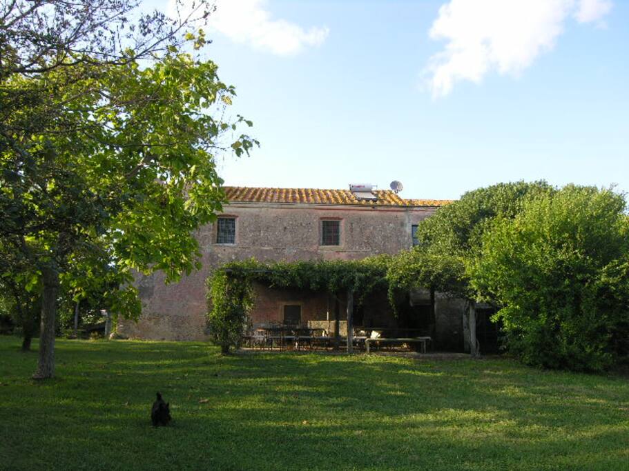 Giardino e casa