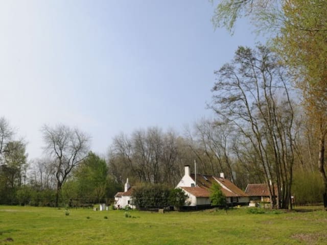 listing_image