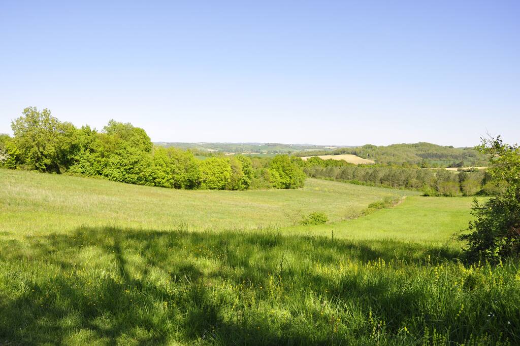 Vue sur les collines environnantes (50m de la maison)