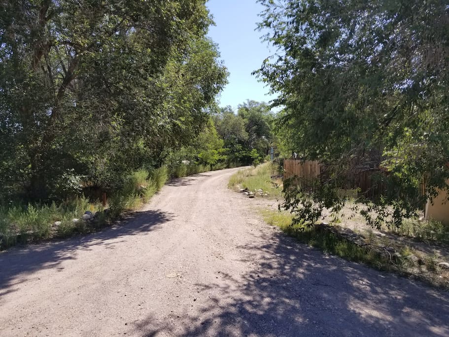 Drive Way from Hwy285