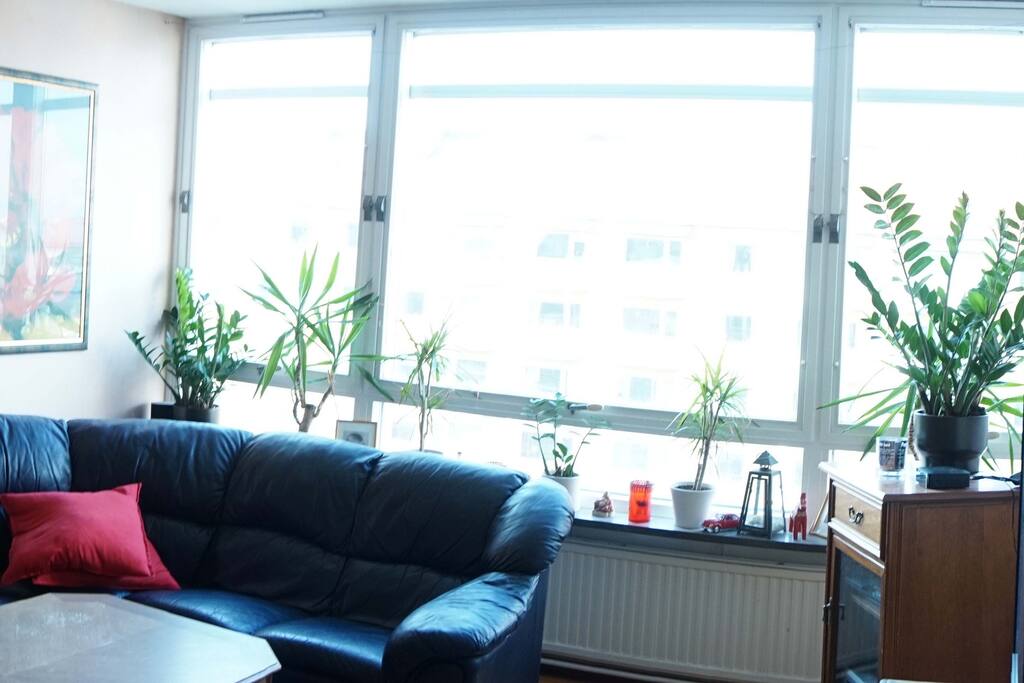 The living room!