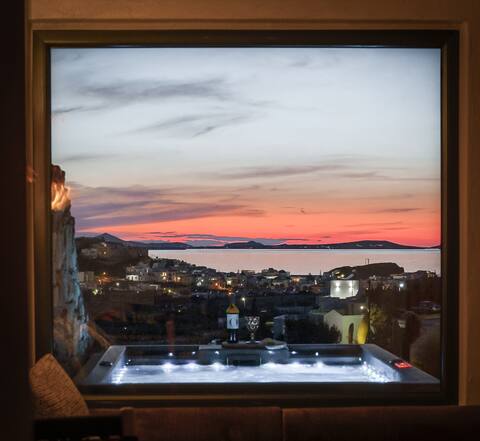 Opuntia Suites II