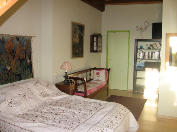 Annecy-le-vieux : Maison Savoyarde - Lac d'Annecy