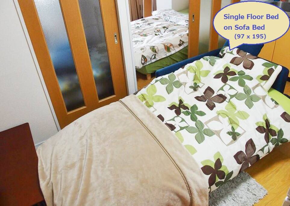 Bed Room 3 - Single Floor Bed on Sofa Bed