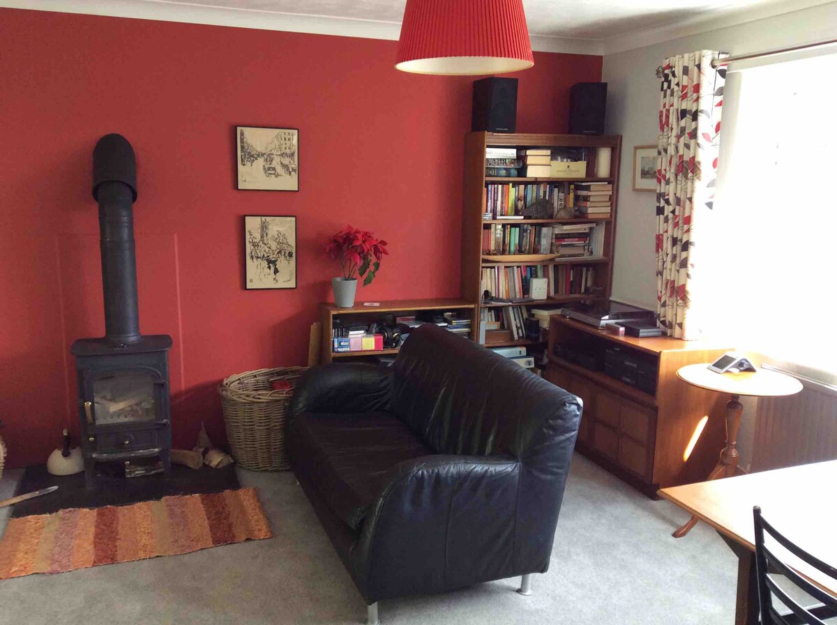 A cozy living area is highlighted by a red wall, featuring a black leather sofa and a wood-burning stove. A bookshelf filled with books sits against one wall, while decorative plants and a woven basket add character. Natural light filters through patterned curtains.