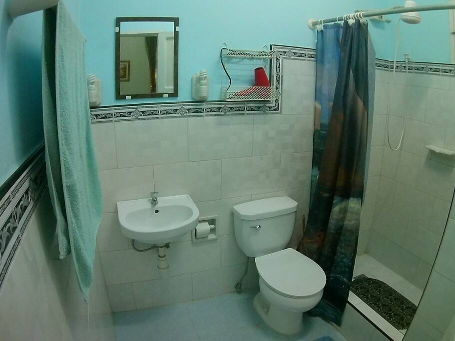 Baño en habitación.