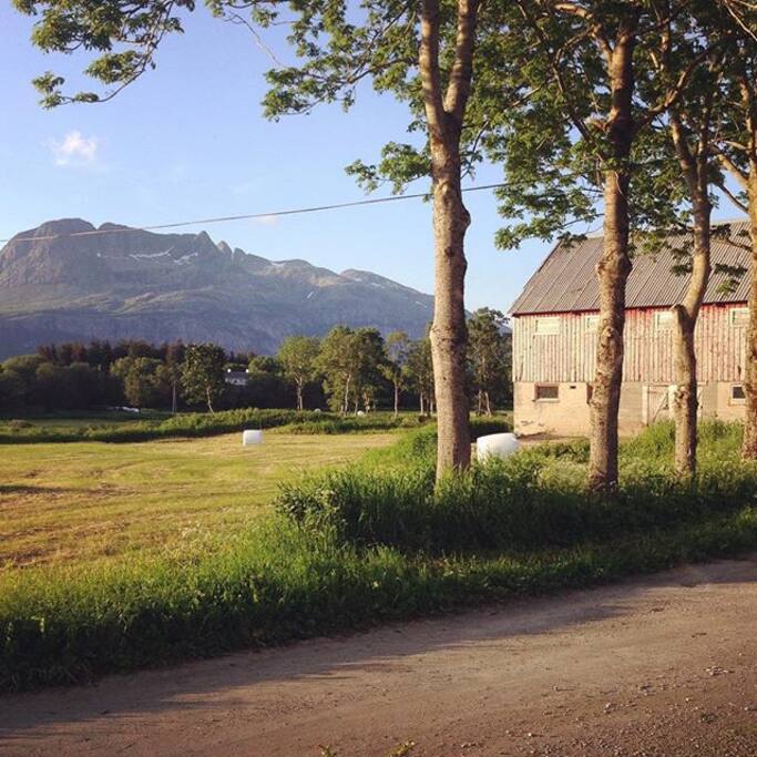 Utsikt mot de syv søstre fra hagestuen