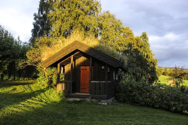 Cozy small cabin on old farm, beautiful location 4