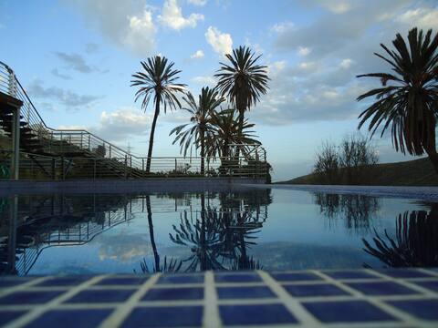 Holidays & Health in Finca Oasis - APART 2