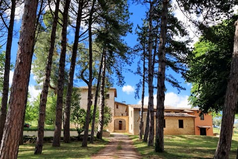 Borgo ai Pini - Villa ai Pini