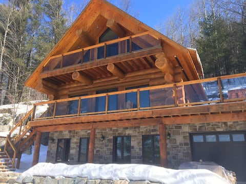 Log home Scandinavian,  spa