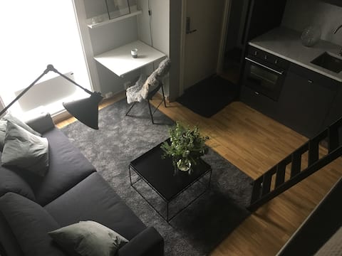 Ett roms på St. Hanshaugen