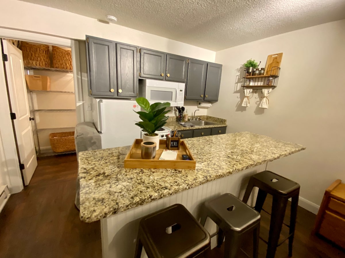The kitchen area features a granite countertop with a small plant and decorative items arranged on a wooden tray. Three metal stools provide seating at the bar. Cabinets with dark blue finishes store kitchen essentials, with an organized pantry visible in the background.