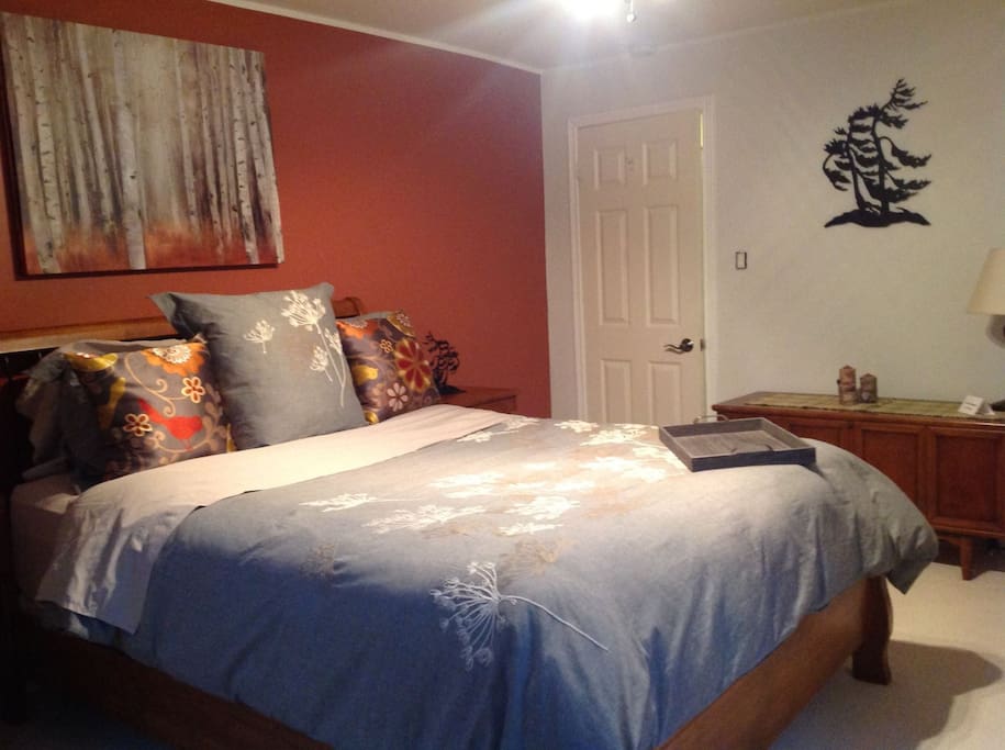 This room has a queen sized bed