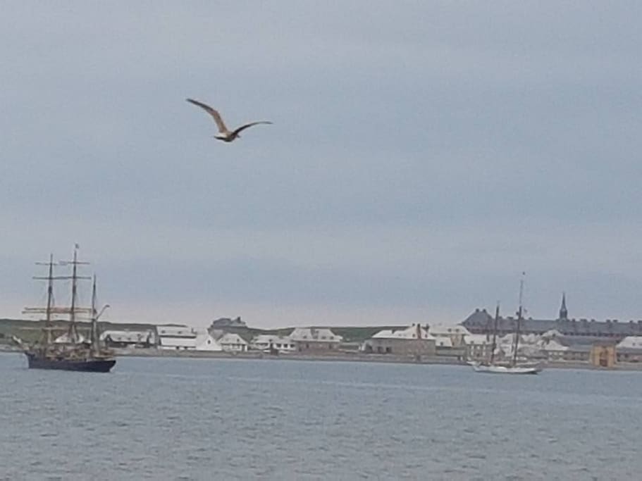 Fortress of Louisbourg