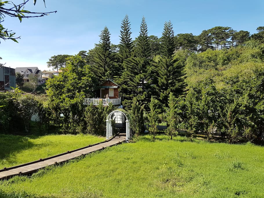 Entrance to the tree house