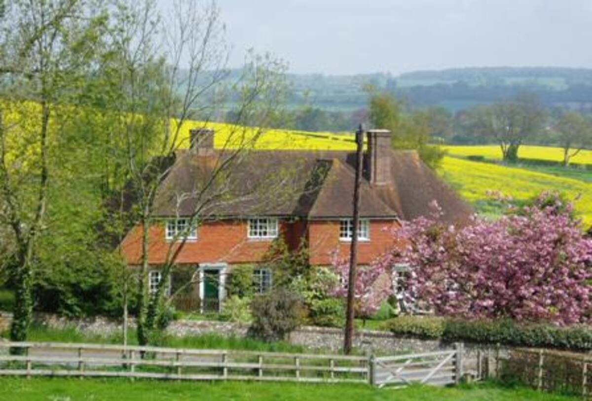 A peaceful corner of the cottage