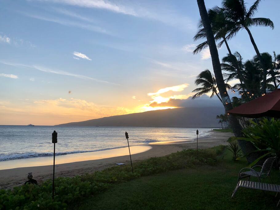 Sunset on the grass