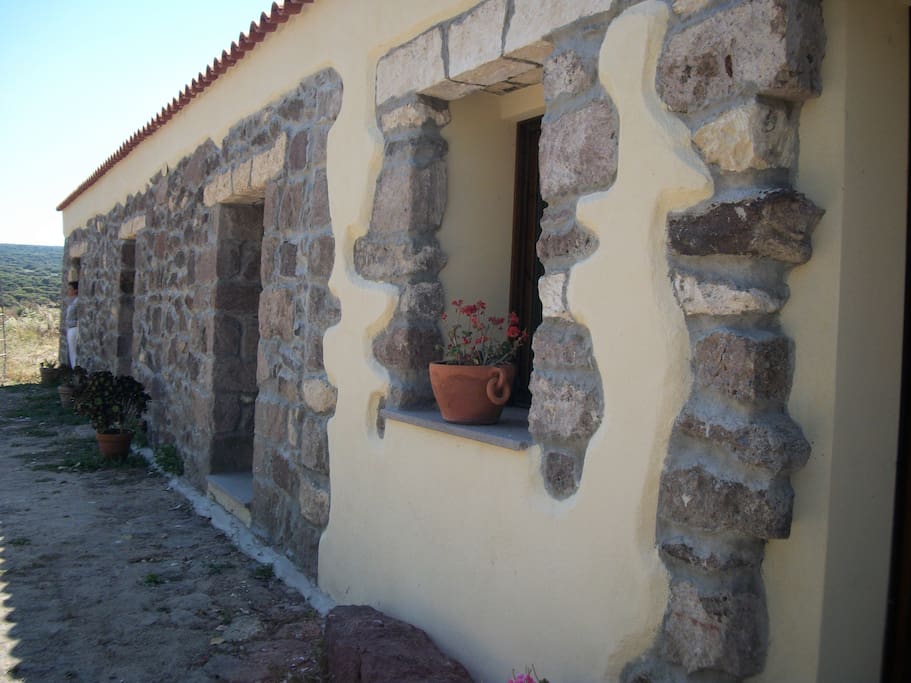 Esterno