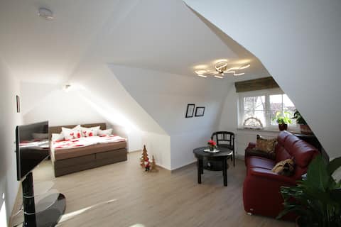 Stilvolles Apartment Kunsthaus Penthouse (DG)