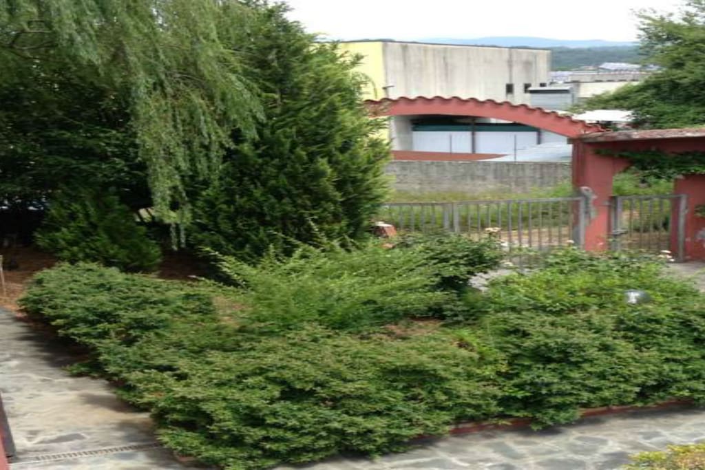 Ingresso