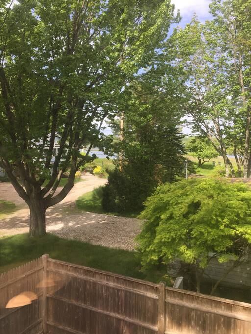 Private fenced in yard