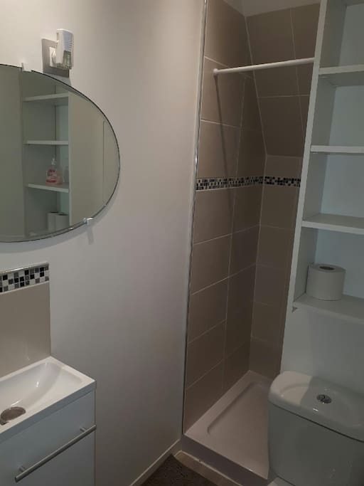 Salle de douche avec WC