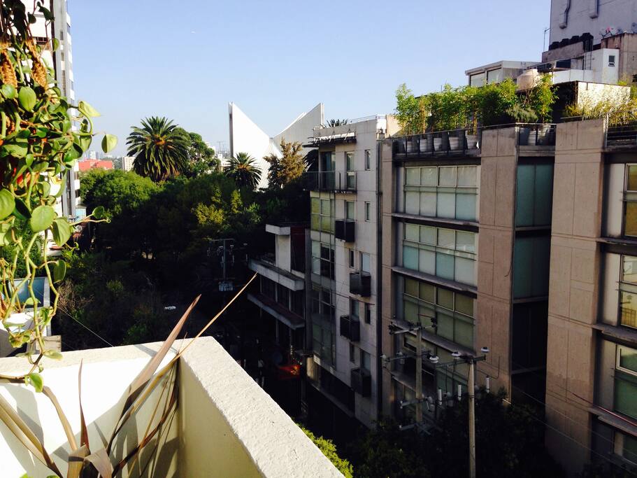 View from balcony, vista desde balcón