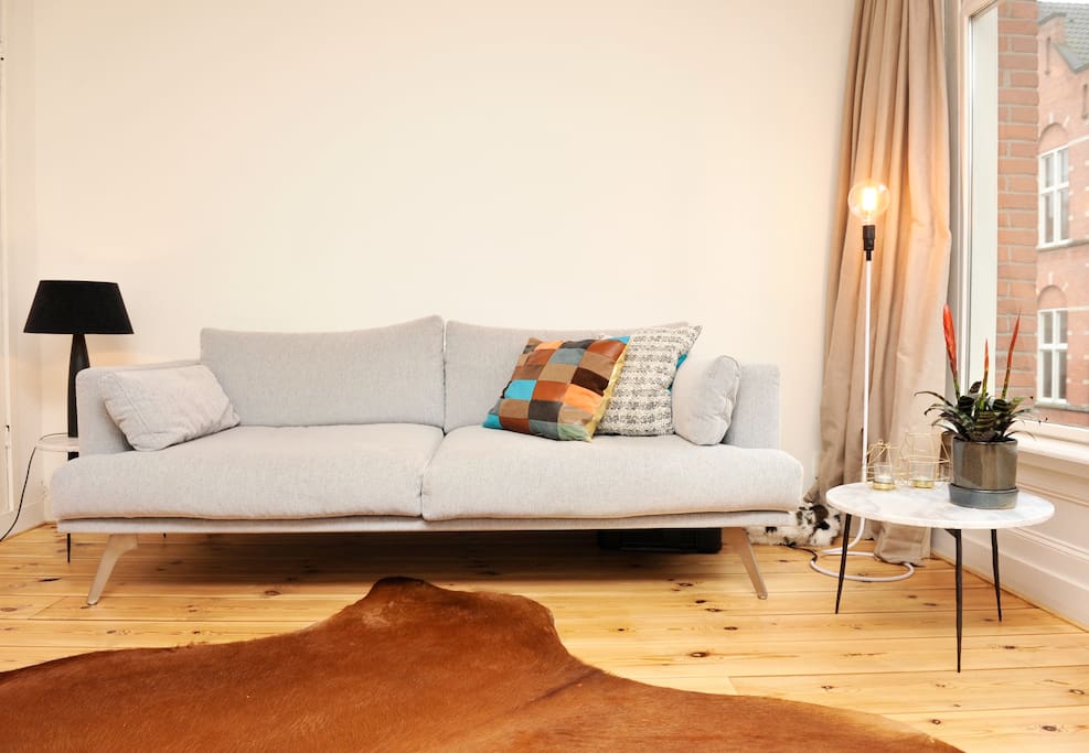 Lovely living room with great couch