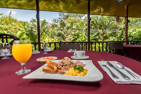 Ara Ambigua Sarapiquí