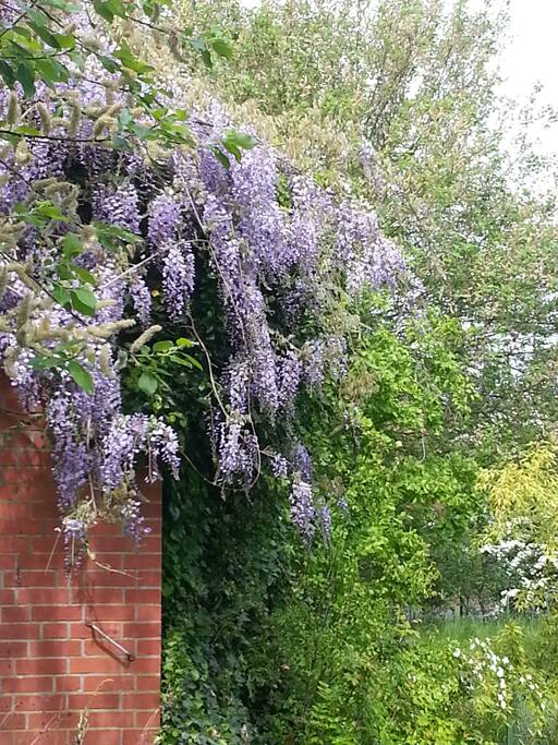 Im Garten