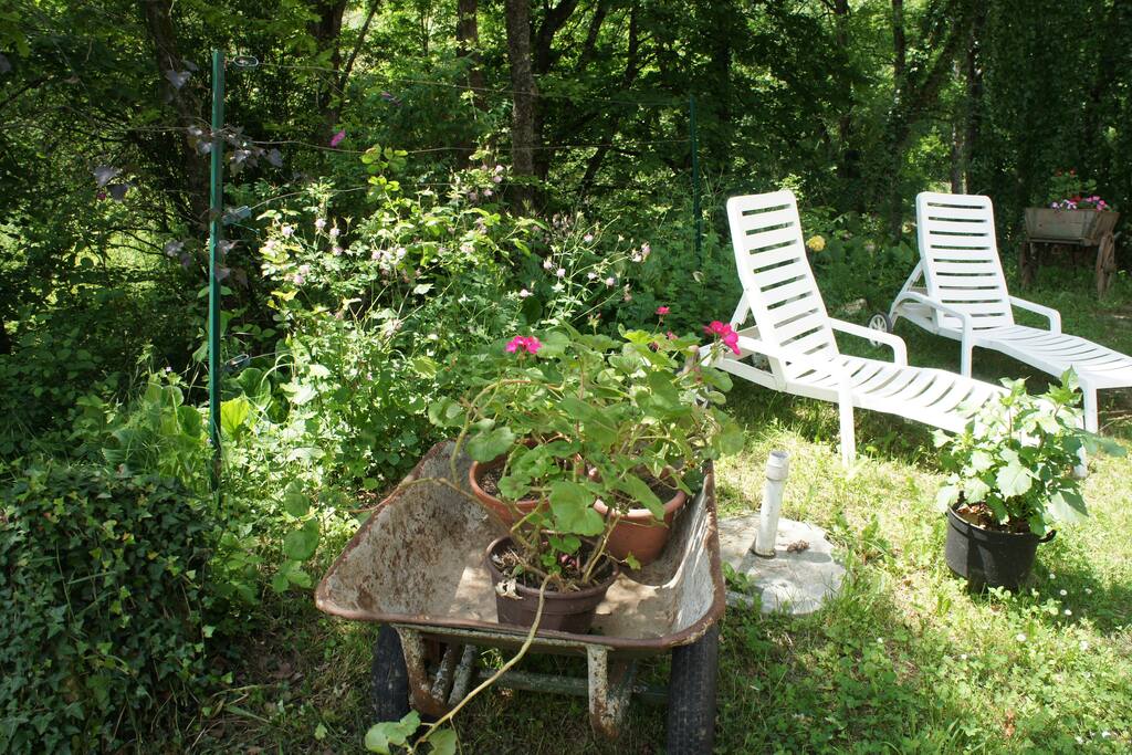 jardin ombragé