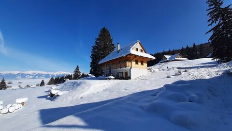 Chalet under Demanova Mountain
