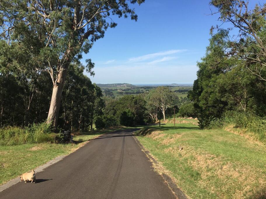 Huntley Public Mountain Climb Car Track behind Dapto