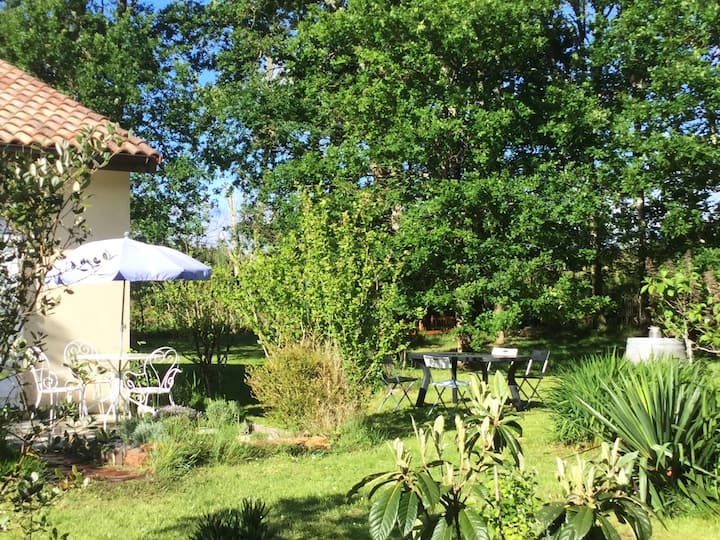 Lit-et-Mixe Vacation Rentals & Homes - Nouvelle-Aquitaine, France | Airbnb