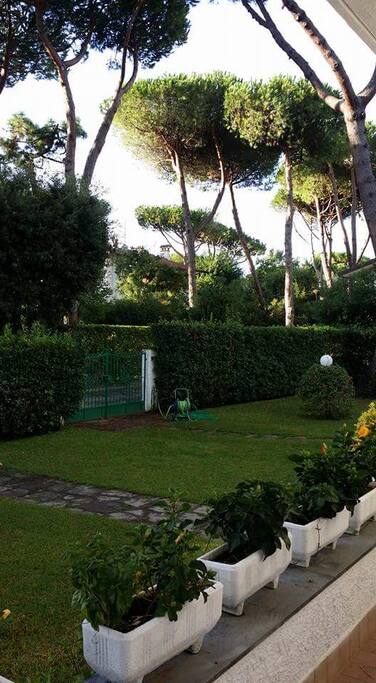 Giardino