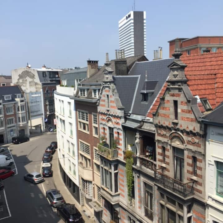 Large Fully Furnished Studio - Bruselas
