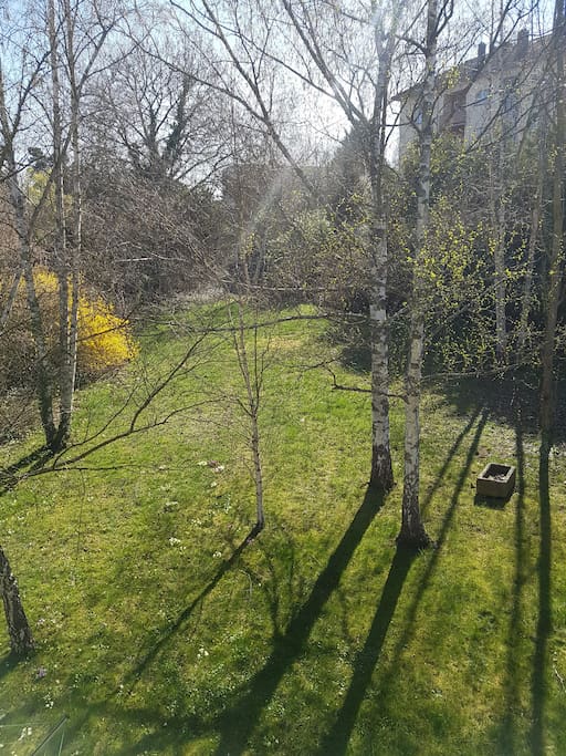 vue sur le jardin