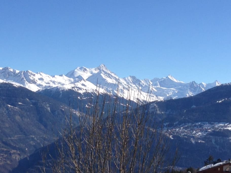 view in winter