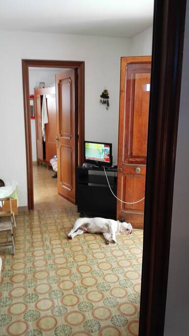 Interni Camere