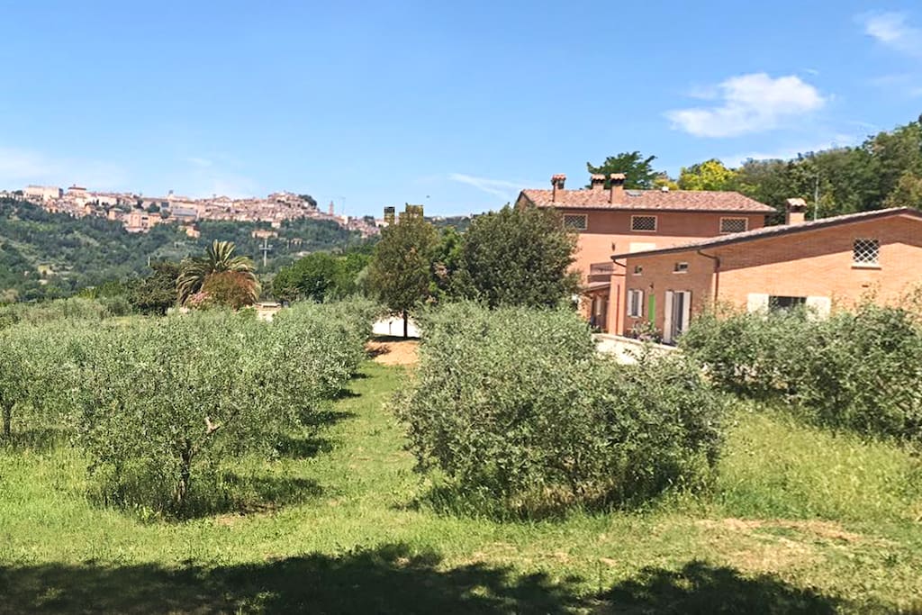 Vista panoramica del Centro Storico di Perugia