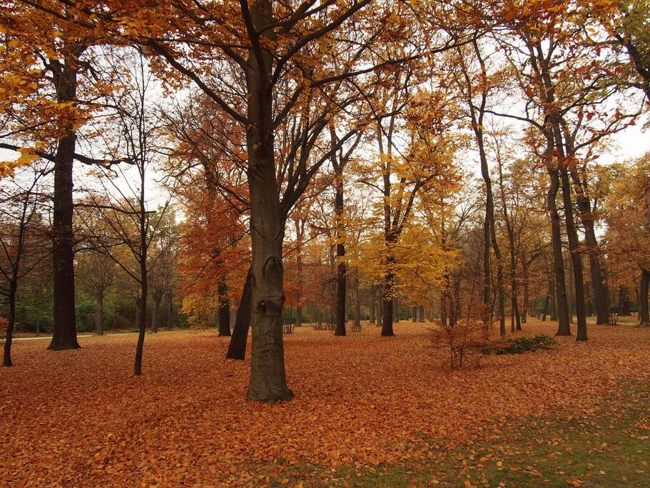 ... with the public royal park